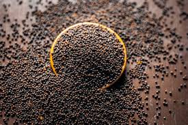 Mustard Seeds