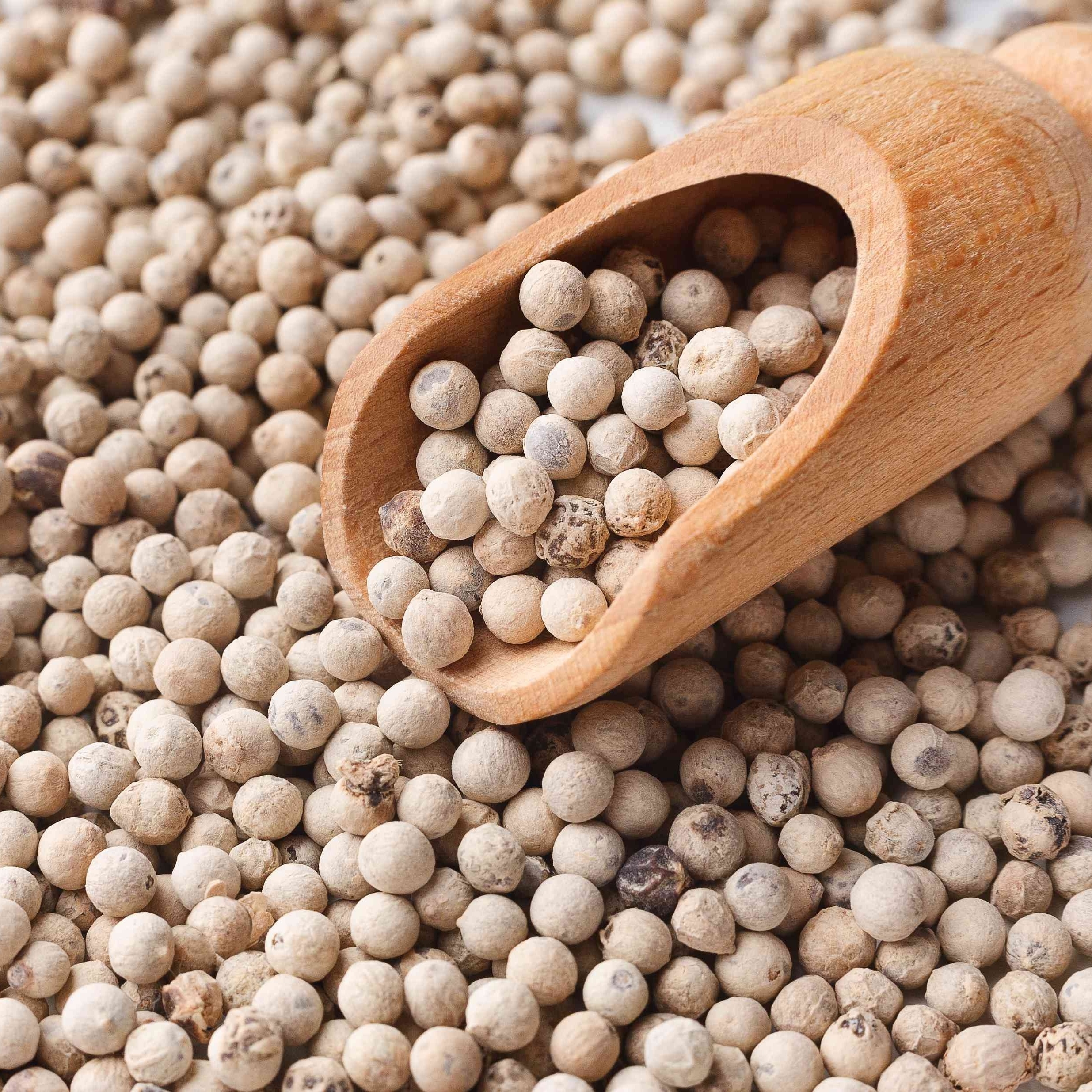 White Pepper